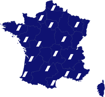 Carte du reseau ANALYSTS en France